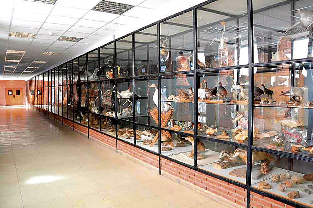 museo ciencias la virgen camino museo ciencias la virgen camino