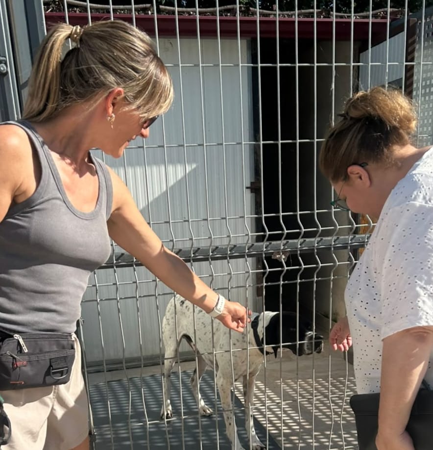 Visita de la concejala Cecilia Rodríguez a la protectora de animales | L.N.C.