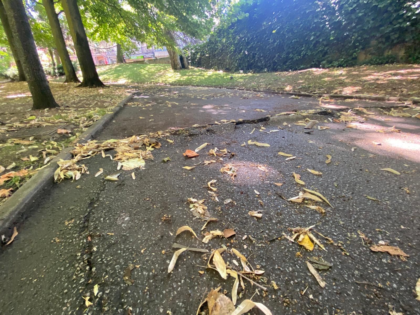 Estado del parque de Quevedo, con desperfectos en los caminos. | L.N.C. Estado del parque de Quevedo, con desperfectos en los caminos. | L.N.C.