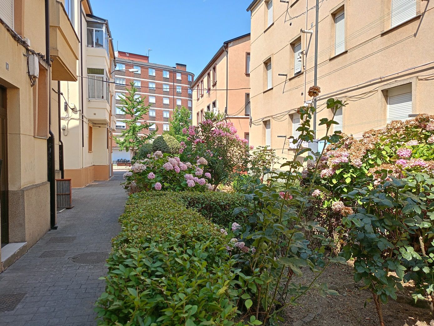 Nuevo aspecto de los jardines de la calle Sindical de Ponferrada. Nuevo aspecto de los jardines de la calle Sindical de Ponferrada.