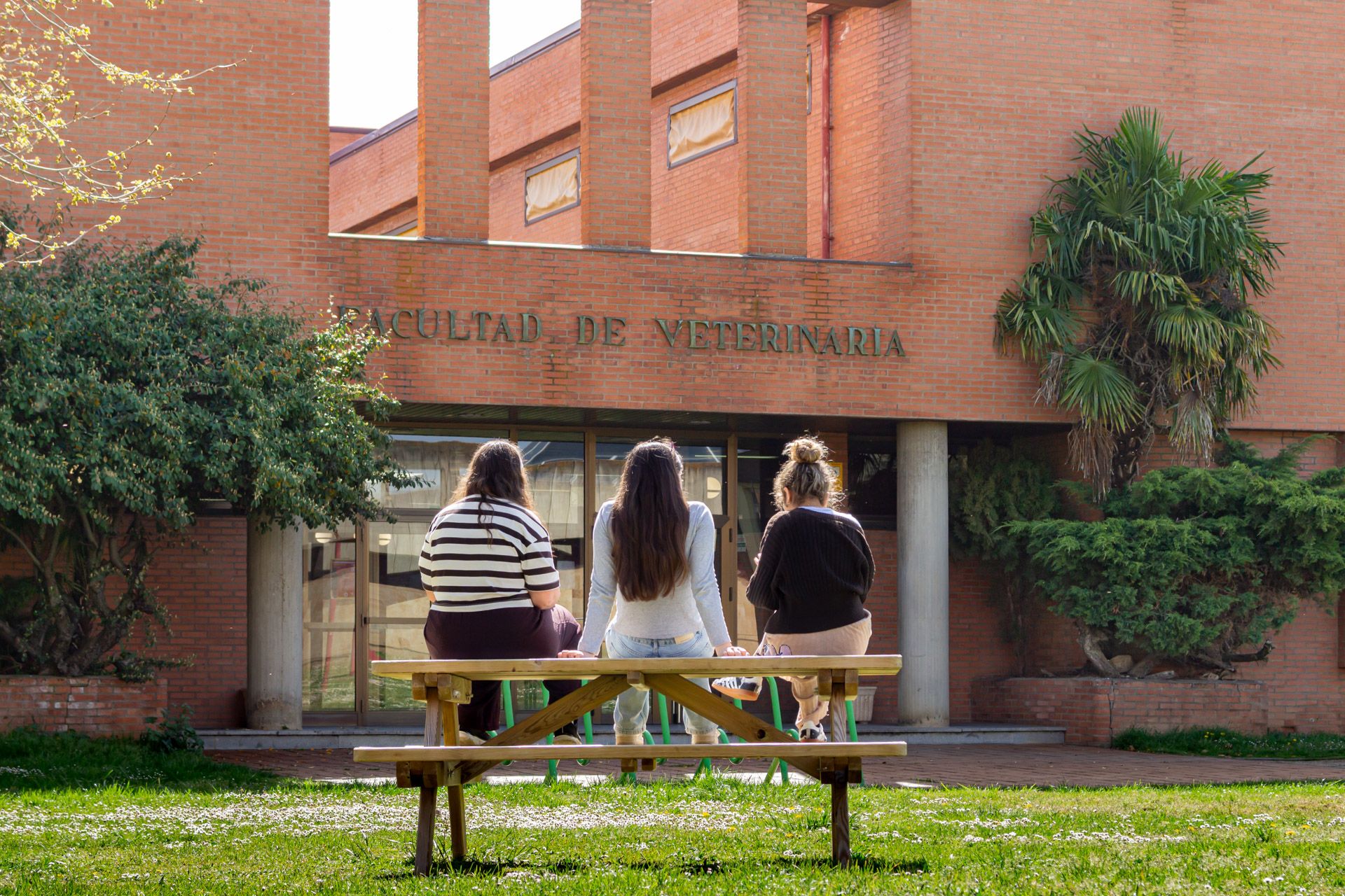 Un grupo de estudiantes en el Campus de Vegazana de la ULE. | L.N.C. Un grupo de estudiantes en el Campus de Vegazana de la ULE. | L.N.C.