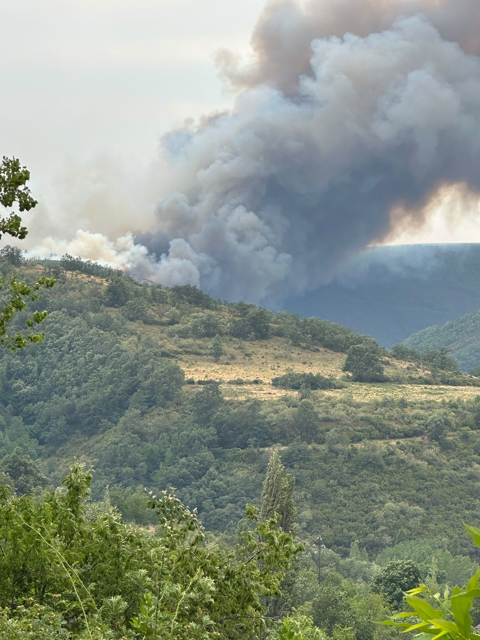 Incendio en Espina de Tremor. | BRIF TABUYO