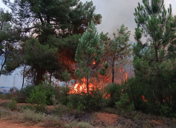 Incendio de Porqueros, en Magaz de Cepeda. | INFORCYL - JCYL Incendio de Porqueros, en Magaz de Cepeda. | INFORCYL - JCYL