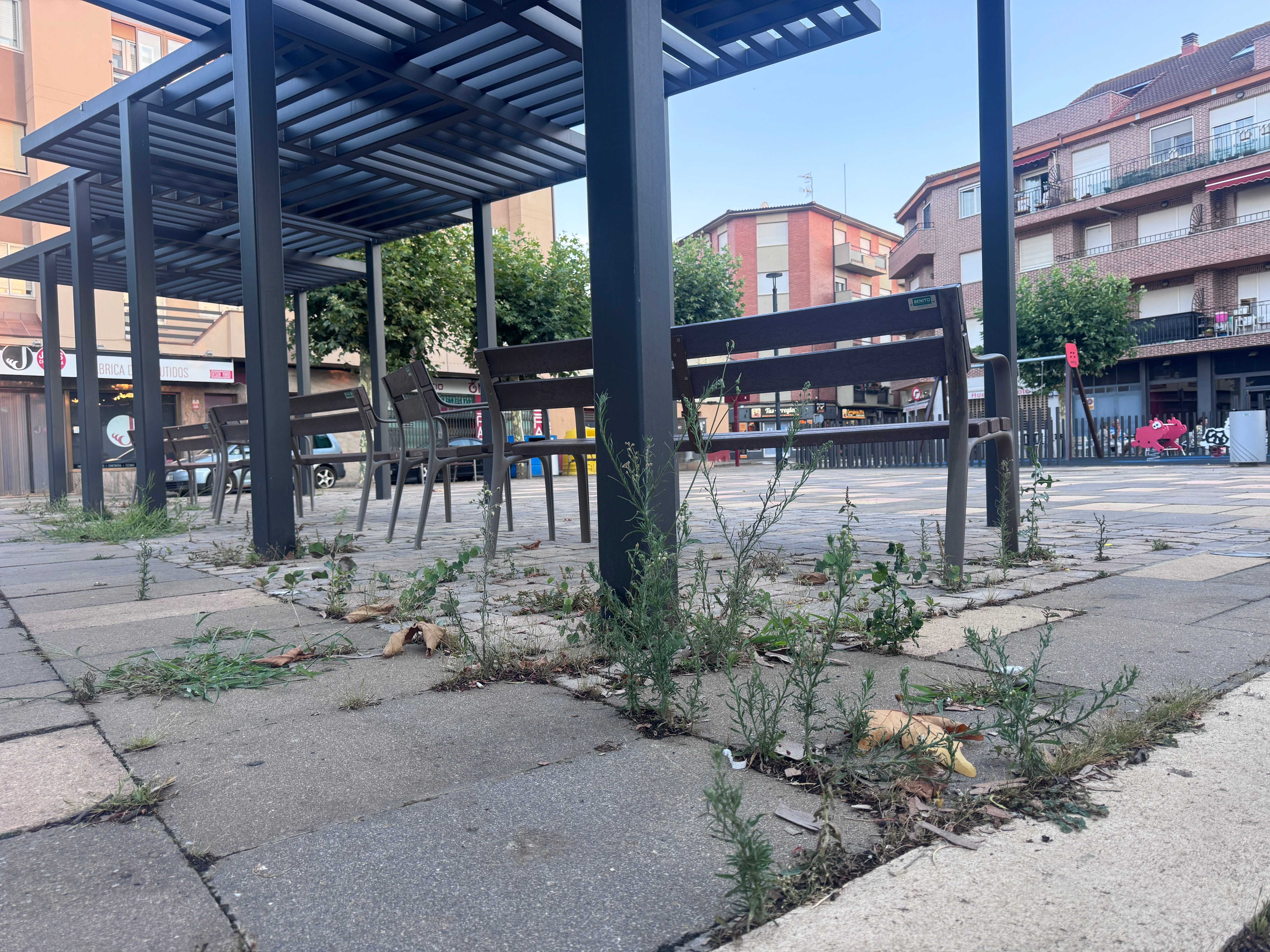 Estado actual de la plaza de Santa Marina de Valencia de Don Juan. |L.N.C.