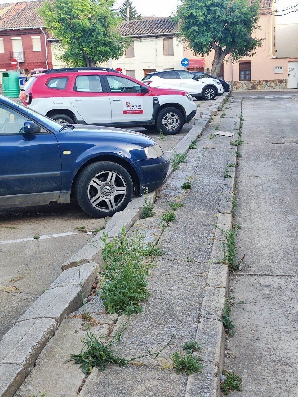 Hierbas en otra de las calles de la ciudad. | L.N.C. Hierbas en otra de las calles de la ciudad. | L.N.C.