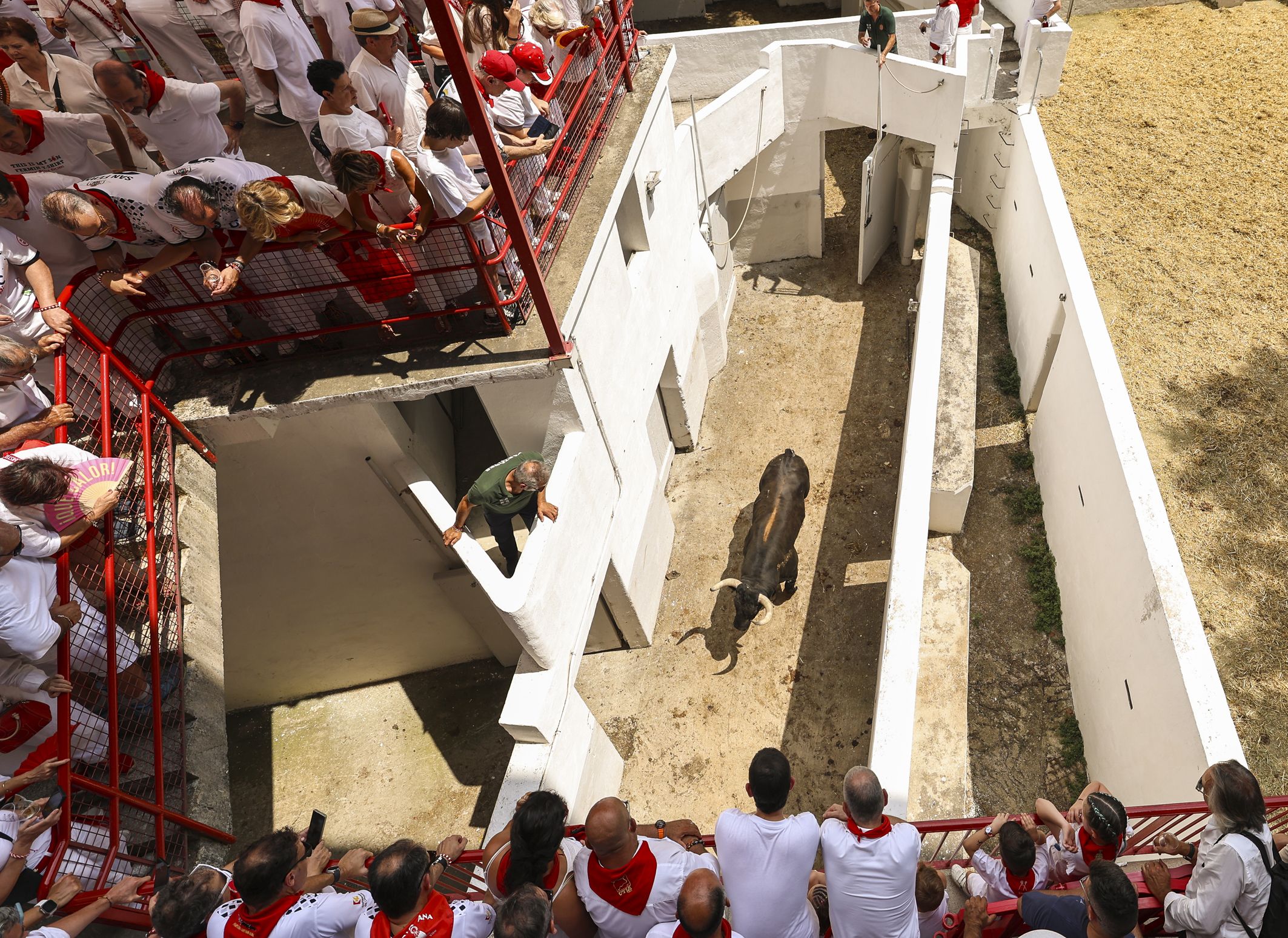 Segundo encierro de San Fermín. | MIGUEL ÁNGEL LAZO