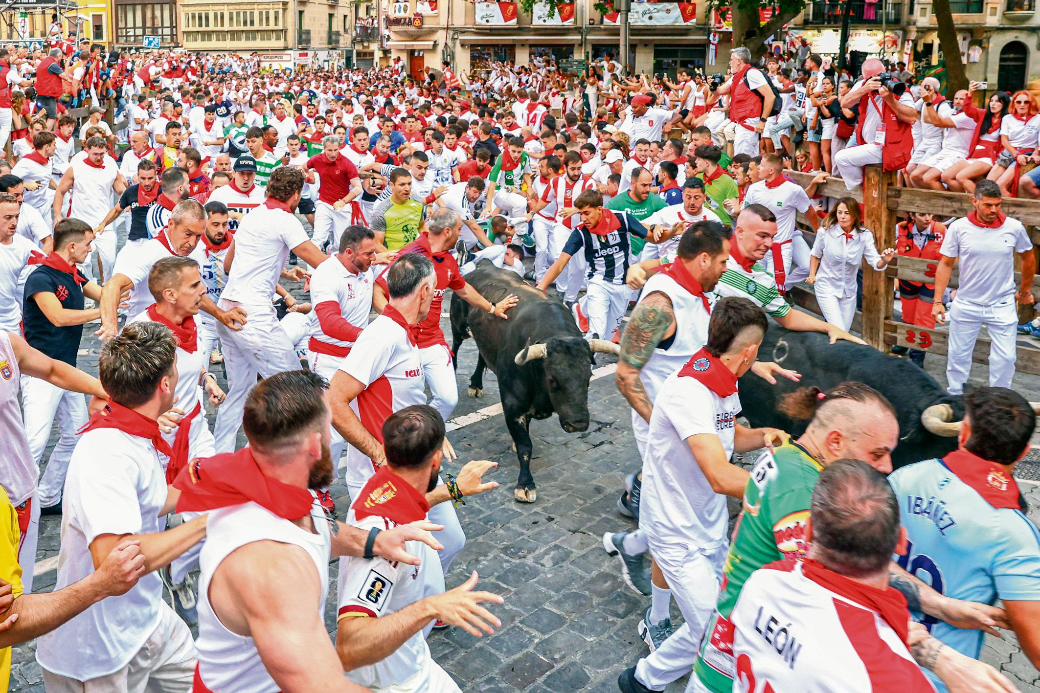 Segundo encierro de San Fermín. | MIGUEL ÁNGEL LAZO Segundo encierro de San Fermín. | MIGUEL ÁNGEL LAZO