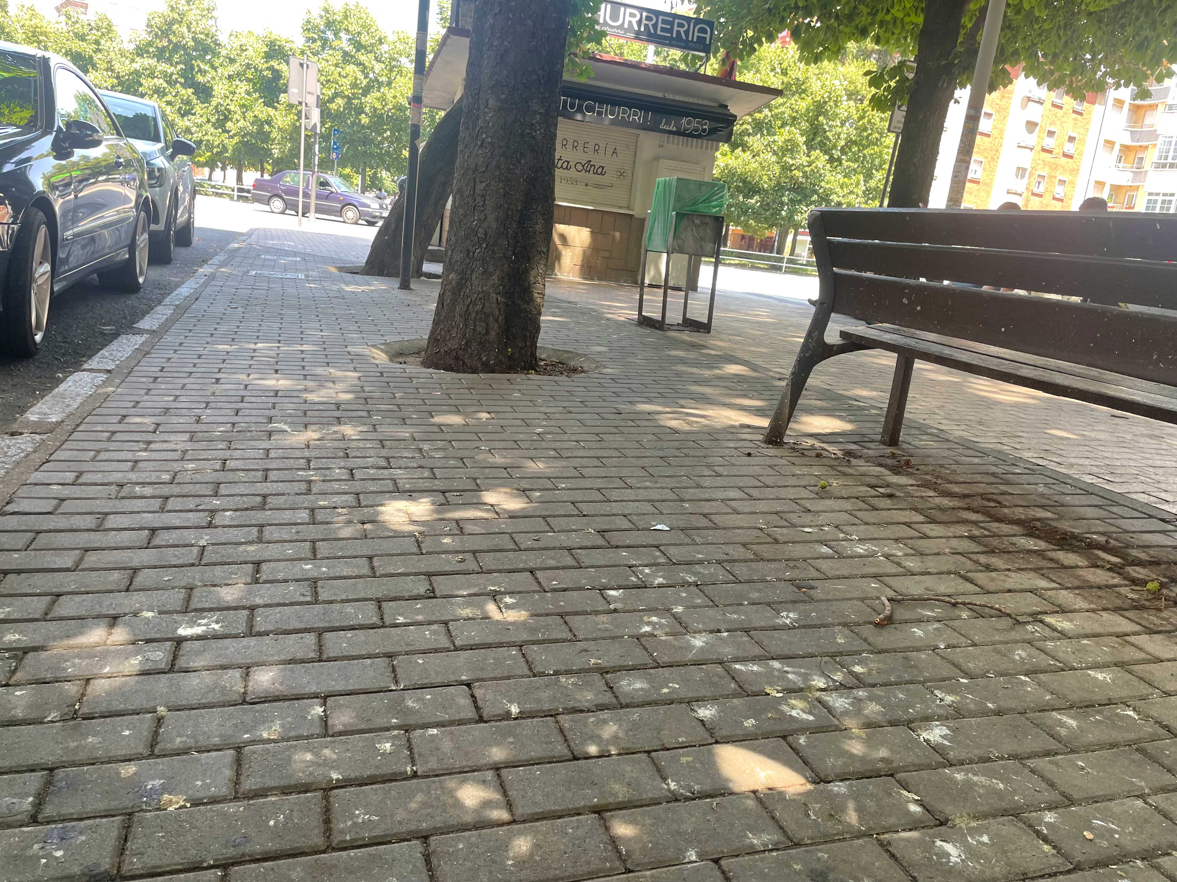Suciedad al inicio de la avenida José Aguado de la capital leonesa. | L.N.C.