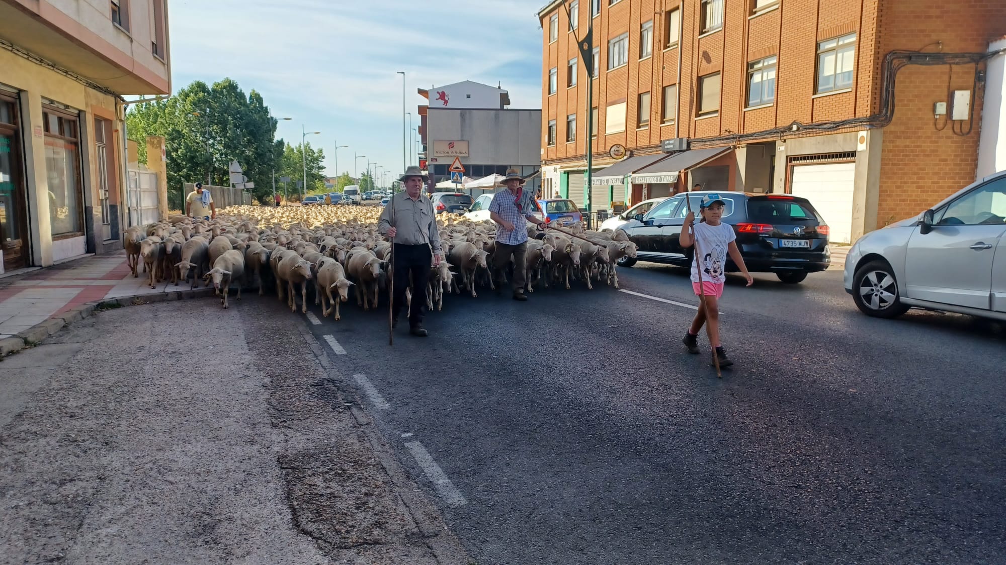 Un rebaño vuelve a tomar las calles de León 