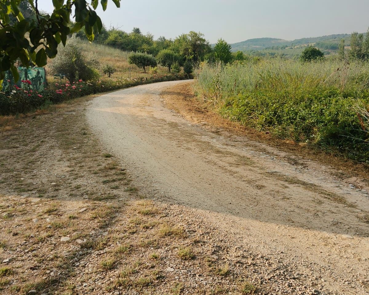 Desbroces en el Camino de Santiago, en la zona de Campo.