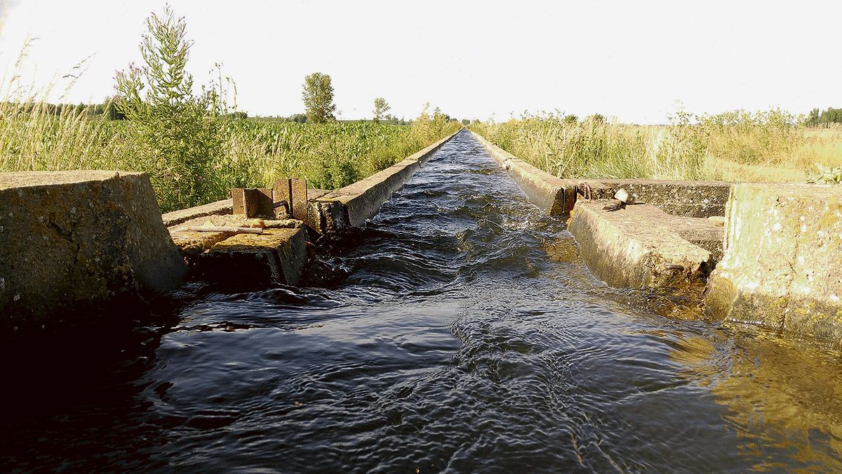 La canalización del agua a través de las acequias se ve cada vez menos como consecuencia del proceso de modernización del regadío en León. | TERESA GIGANTO