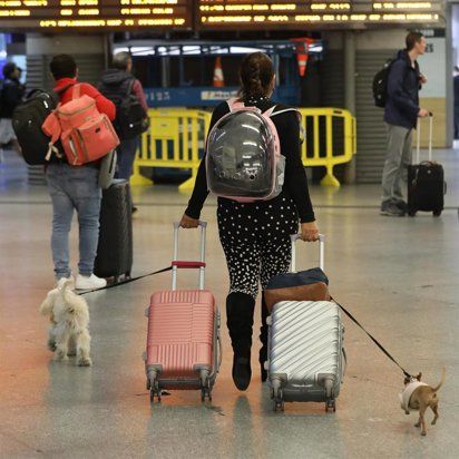 Renfe permitirá viajar con perros de hasta 40 kilos en todos sus trenes. | EUROPA PRESS