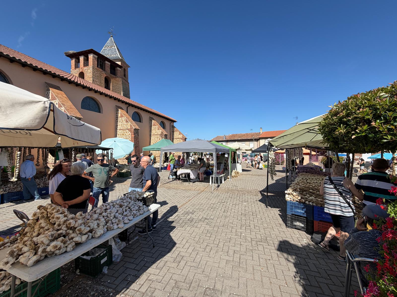 Feria del Ajo de Santa Marina del Rey 