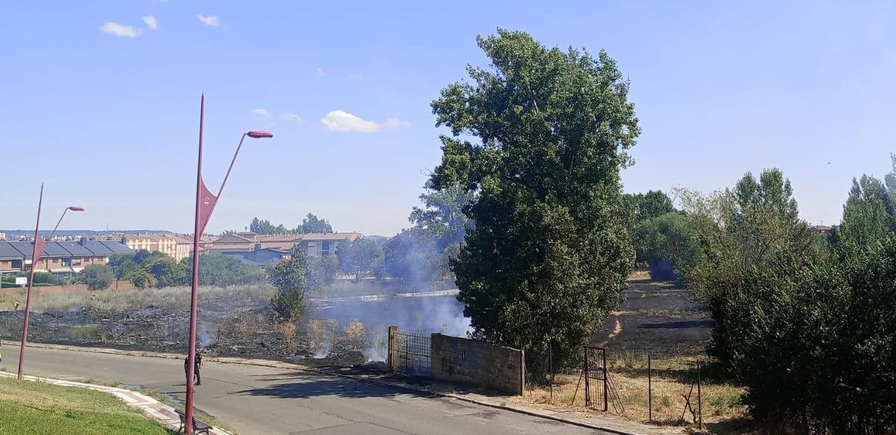 Incendio en un solar privado en San Andrés del Rabanedo. | L.N.C. Incendio en un solar privado en San Andrés del Rabanedo. | L.N.C.