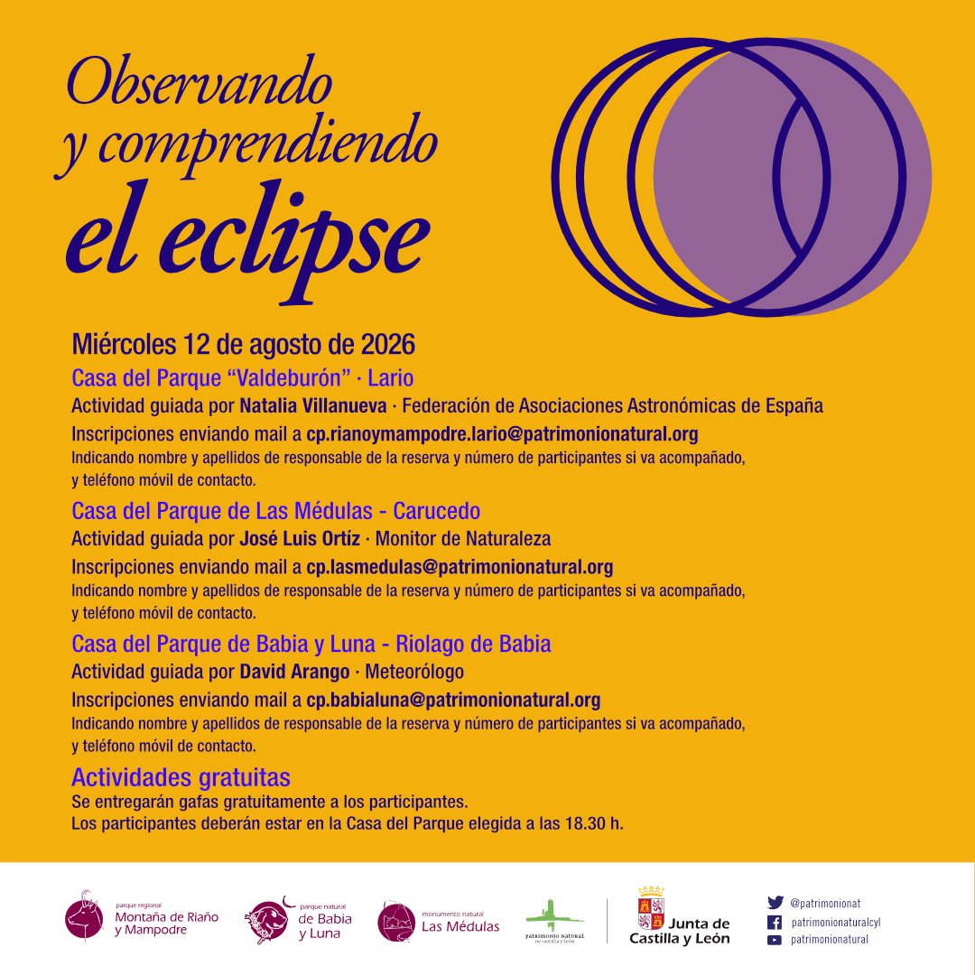 Cartel de la actividad 'Observando el eclipse' Cartel de la actividad 'Observando el eclipse'