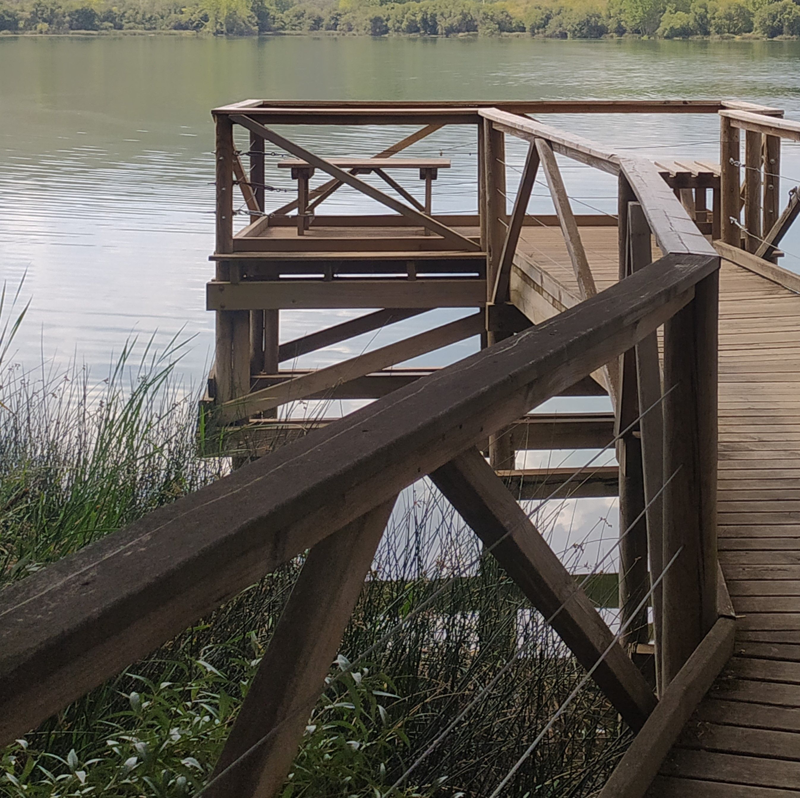 Zona de avistamiento en el Lago de Carucedo.