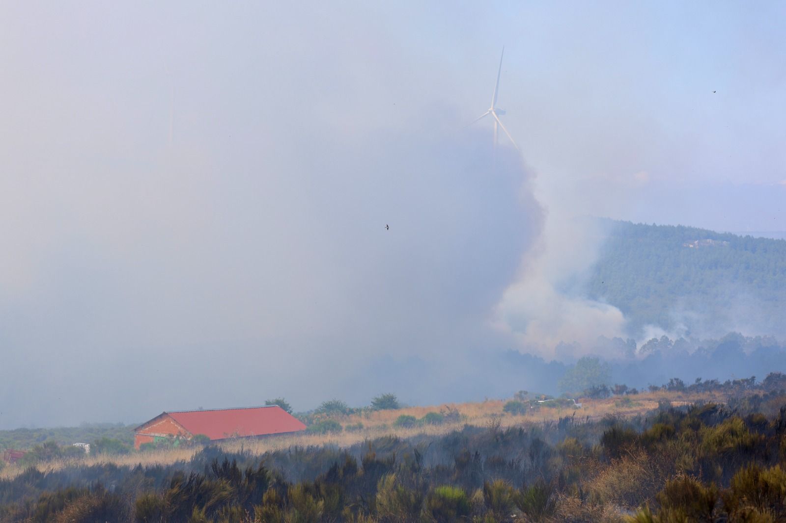 Incendio forestal de nivel dos en Murias de Ponjos 