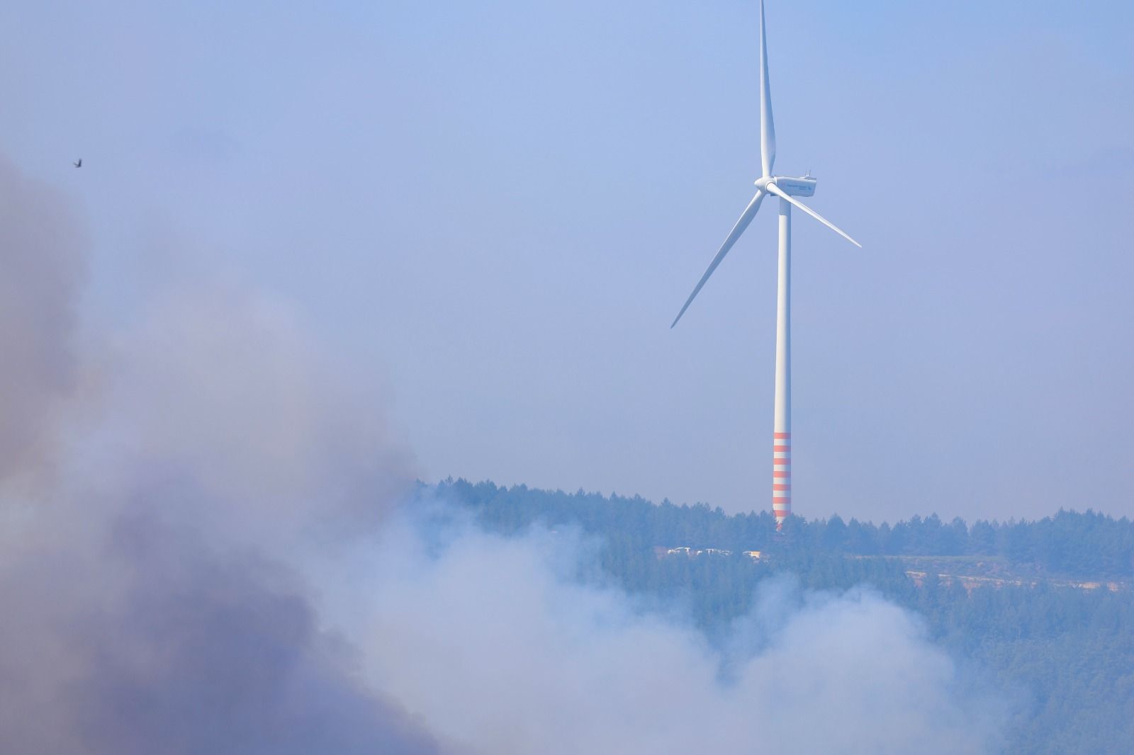 Incendio forestal de nivel dos en Murias de Ponjos 