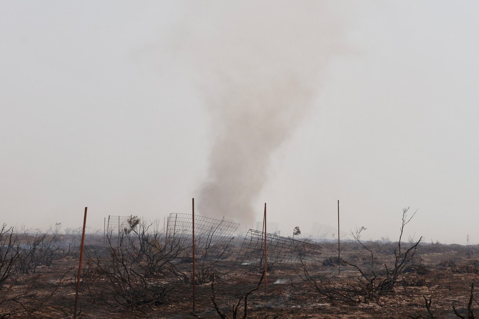 Incendio forestal de nivel dos en Murias de Ponjos 