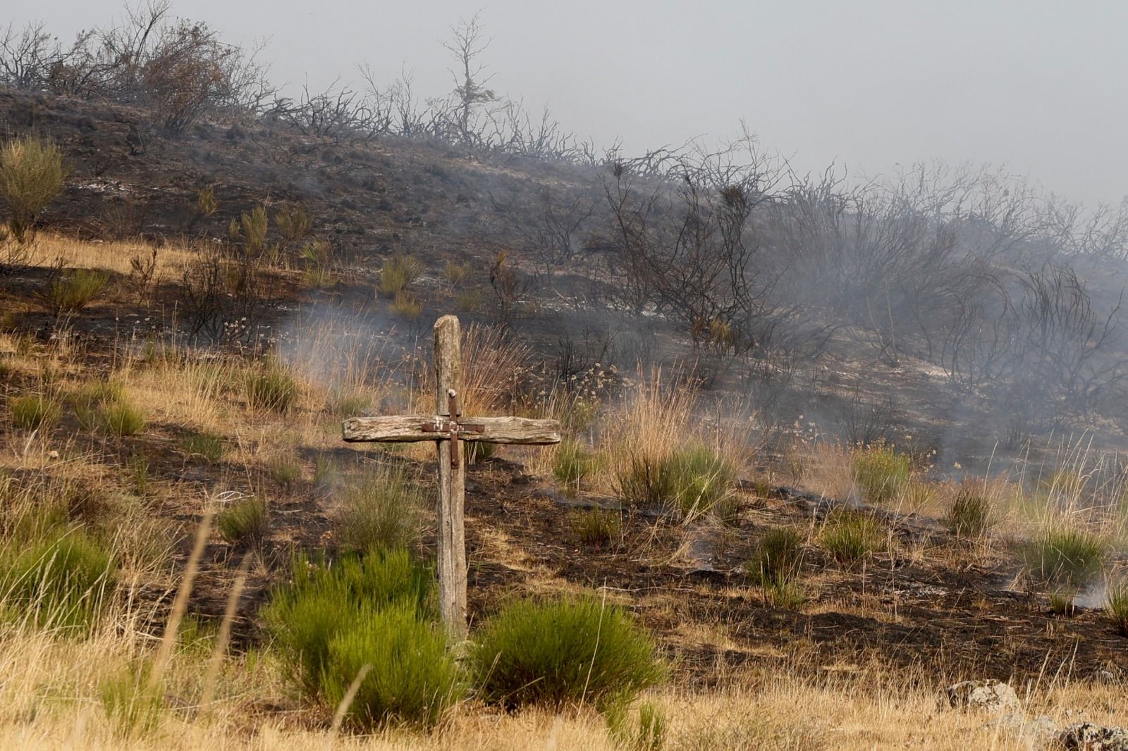 Incendio forestal de nivel dos en Murias de Ponjos 