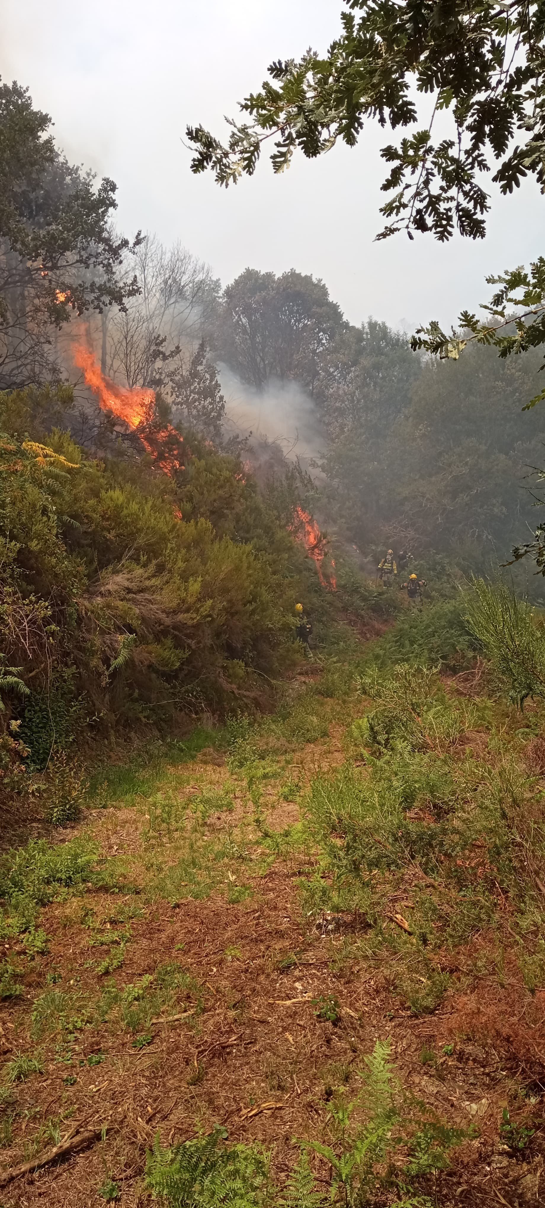 La Junta de Castilla y León declara índice de Gravedad Potencial (IGR) 1 un incendio originado en Quintela. | ATBRIF La Junta de Castilla y León declara índice de Gravedad Potencial (IGR) 1 un incendio originado en Quintela. | ATBRIF