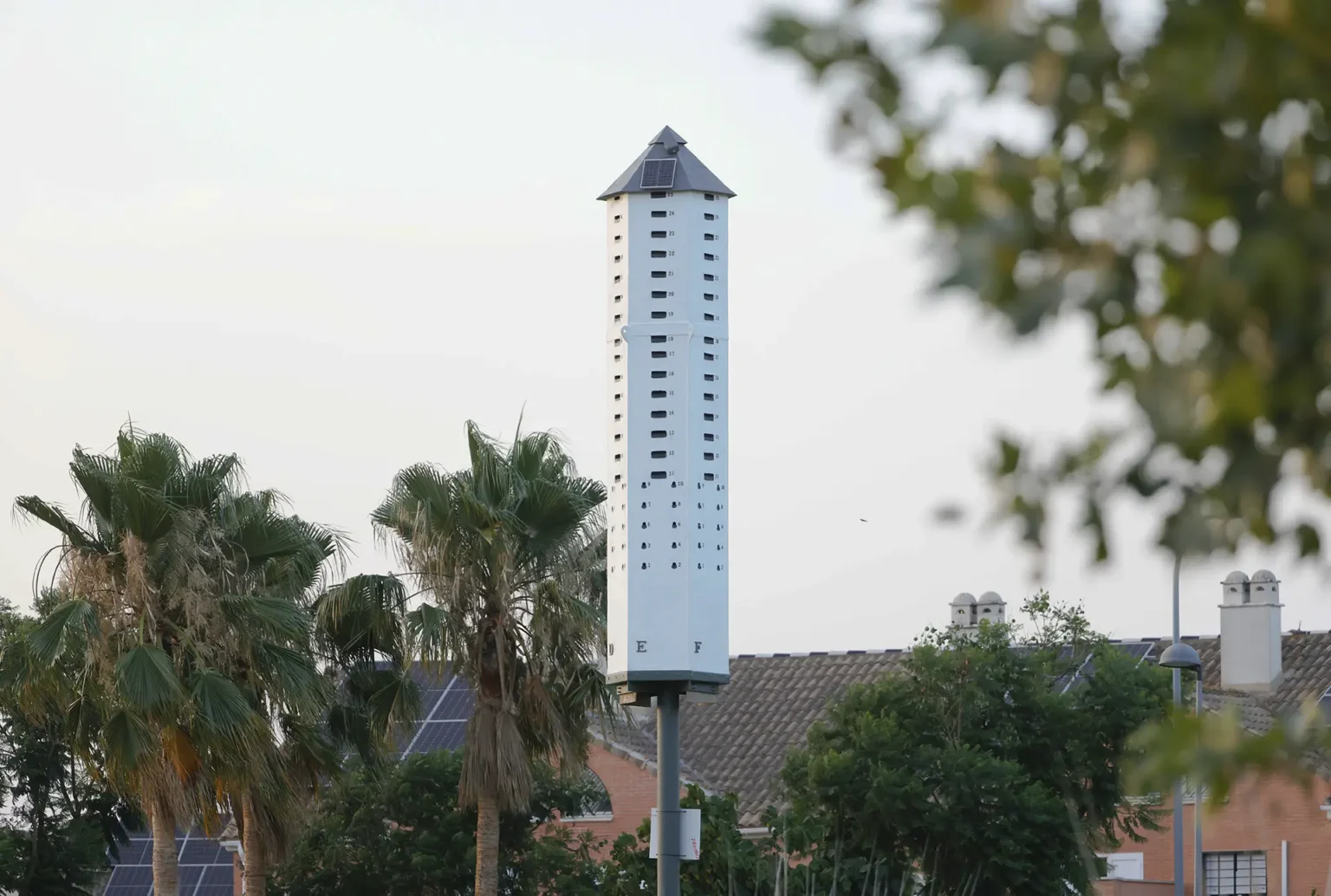 Imagen de archivo de una torre de Biodiversidad ubicada en Coria.
