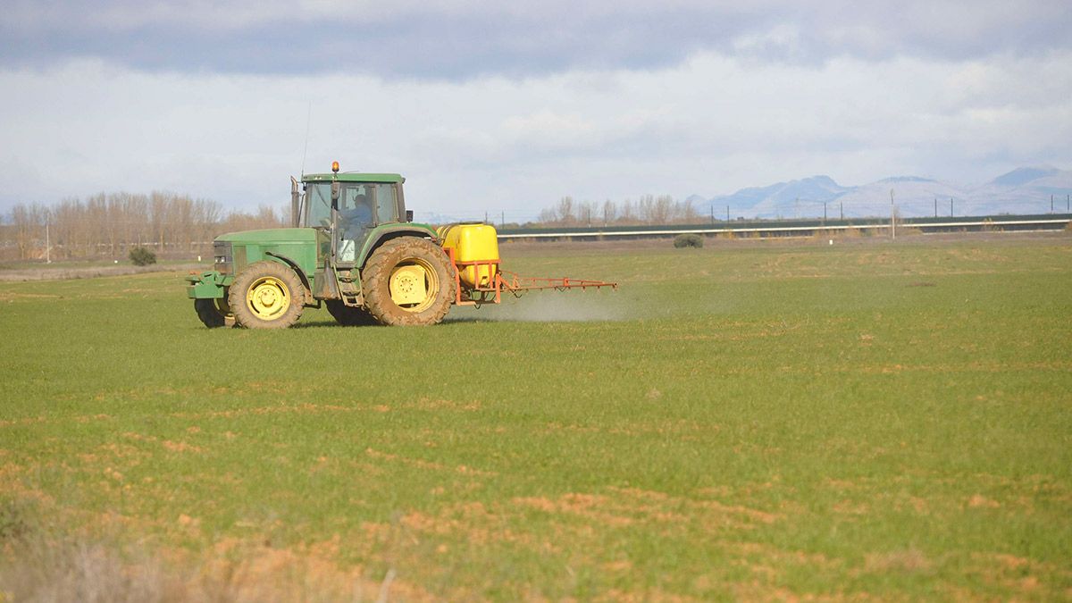 La agricultura sigue copando un elevado número de autónomos. | DANIEL MARTÍN