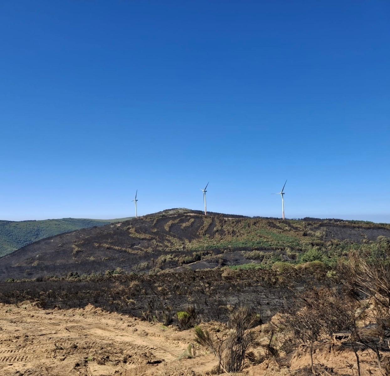 El incendio continúa en nivel 1 tras calcinar más de 2.000 hectáreas | L.N.C.