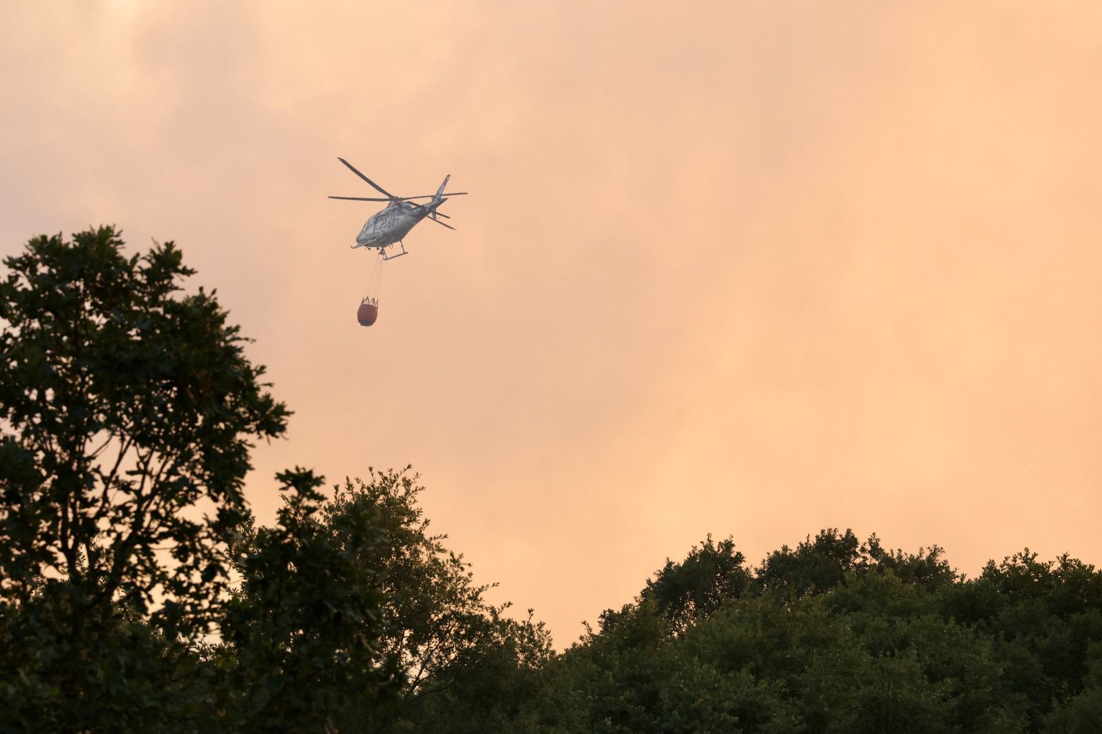 Incendio forestal declarado este martes en La Utrera | CARLOS S.CAMPILLO (Ical)