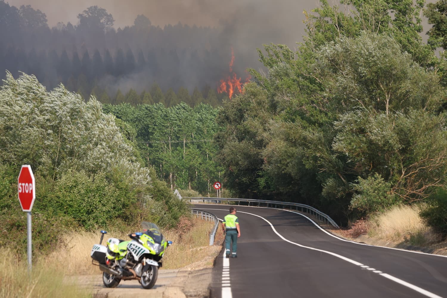 El incendio del Condado, en imágenes 