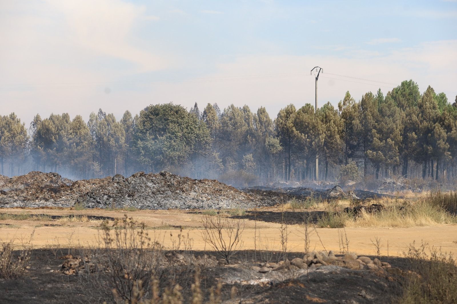 El día después del incendio del Condado El día después del incendio del Condado