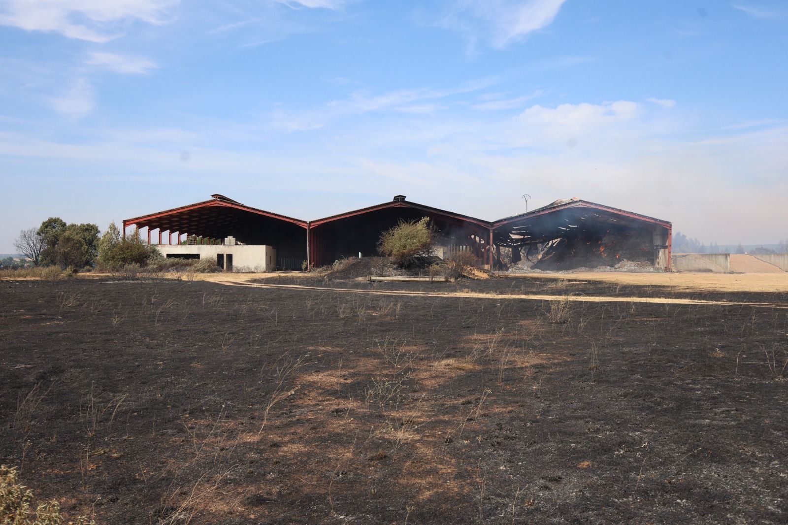 El día después del incendio del Condado El día después del incendio del Condado