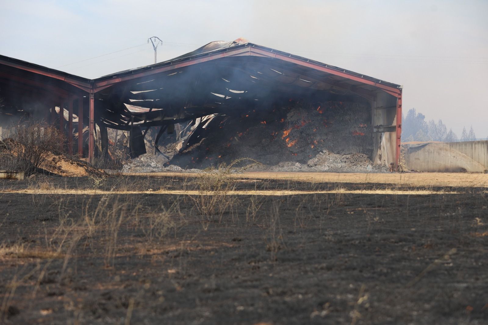 El día después del incendio del Condado El día después del incendio del Condado