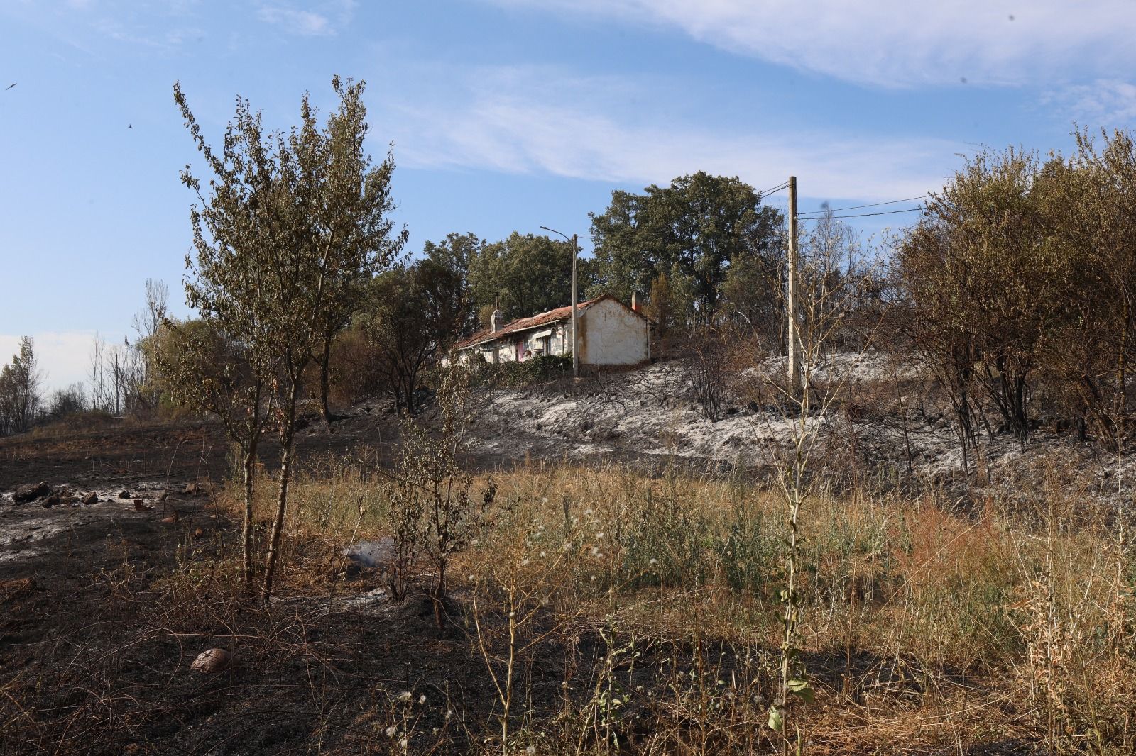El día después del incendio del Condado El día después del incendio del Condado
