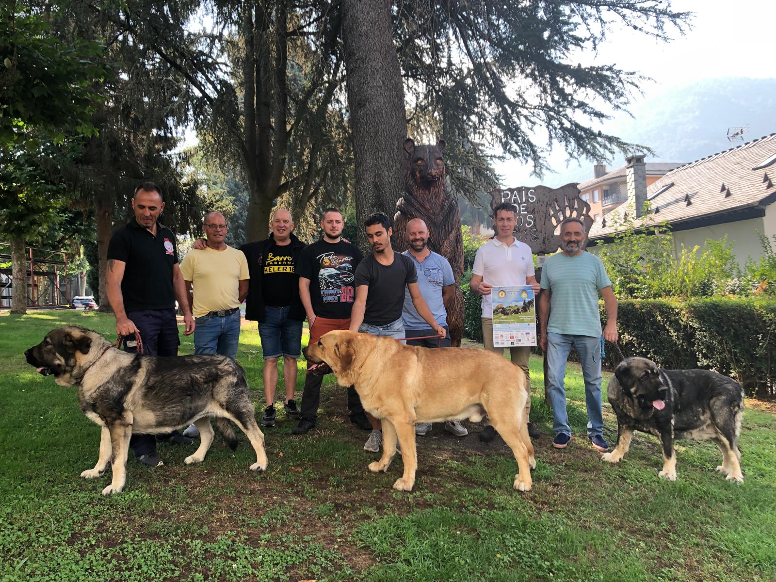 El mastín volverá a reunir en Villablino a criadores y aficionados durante este sábado. 