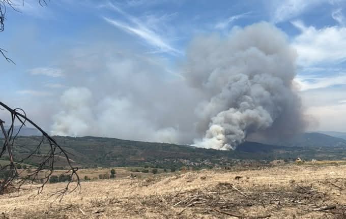 Incendio en Veguellina.