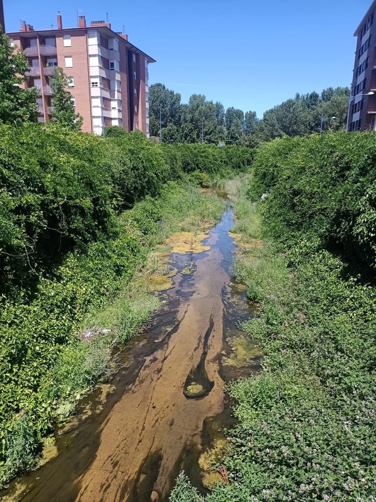Estado del canal Carbosillo a su paso por León. | L.N.C.