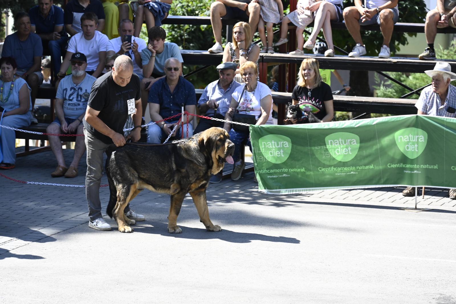 IX Campeonato del Mastín 