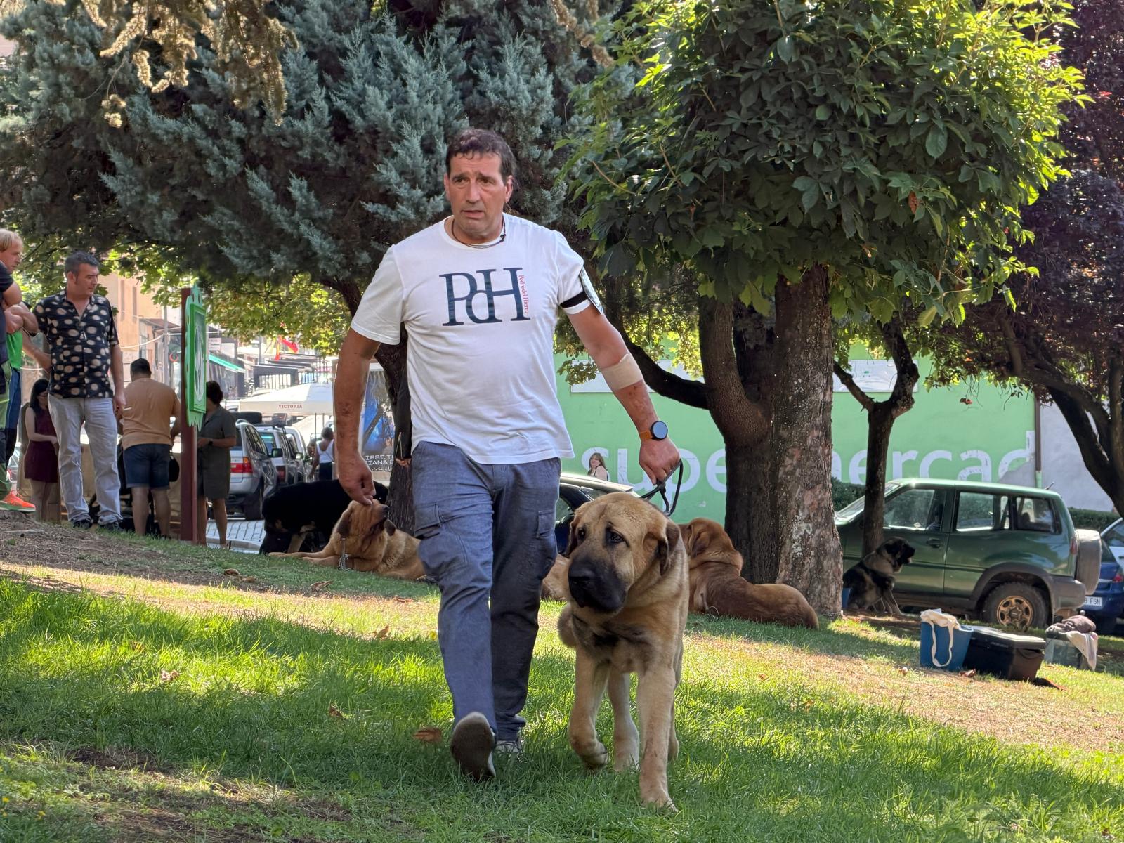 IX Campeonato del Mastín 