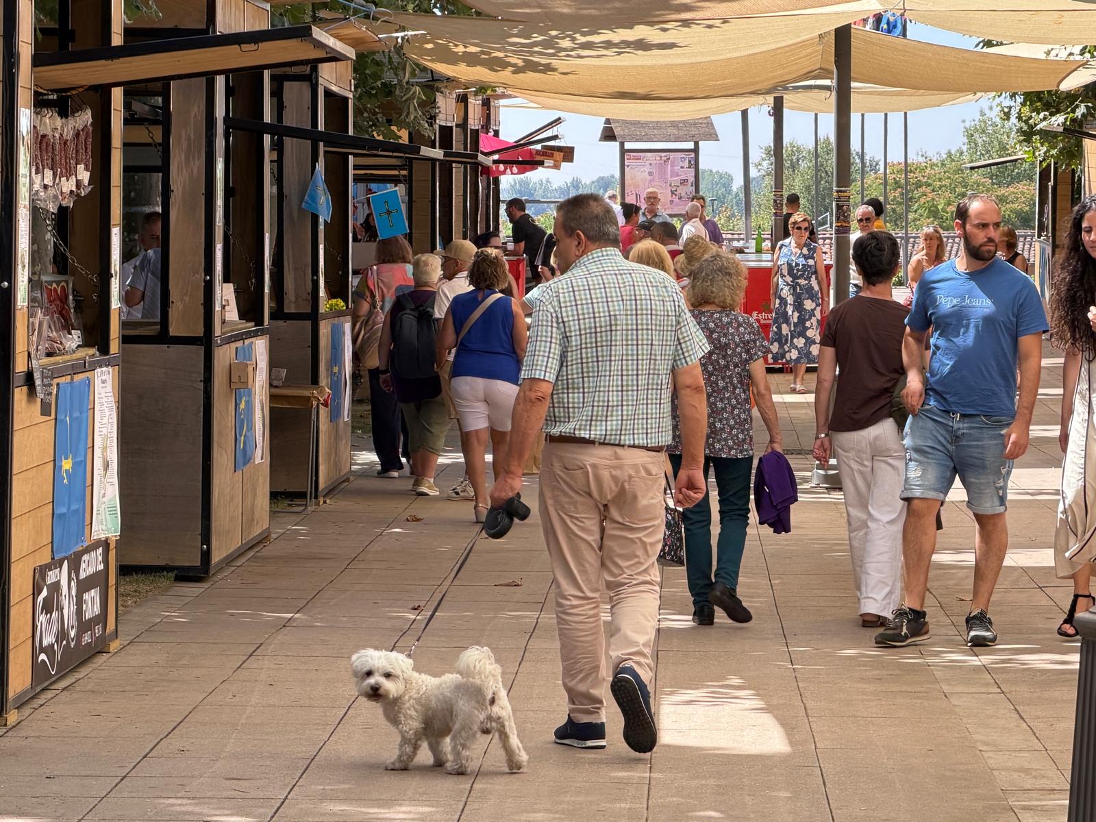 III Astur Feria en Valencia de Don Juan (13)