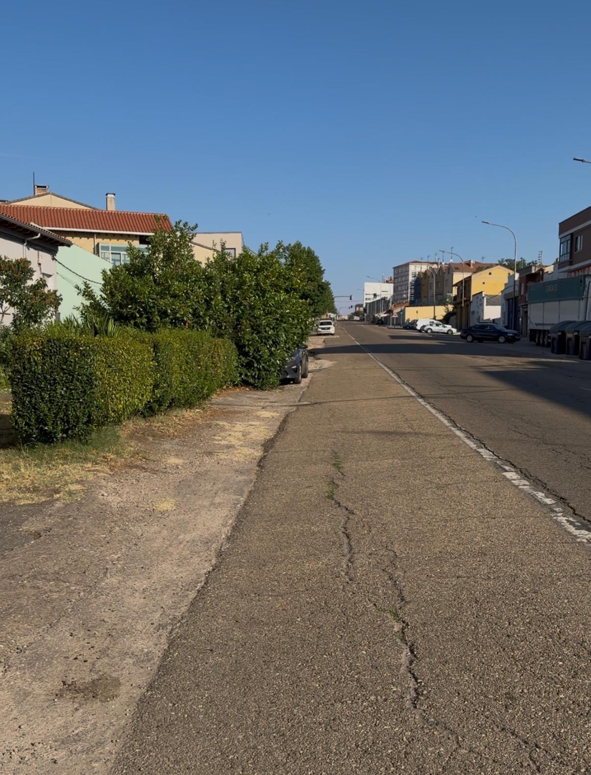 Estado actual de los márgenes de la N–VI en el acceso a Astorga. | L.N.C.