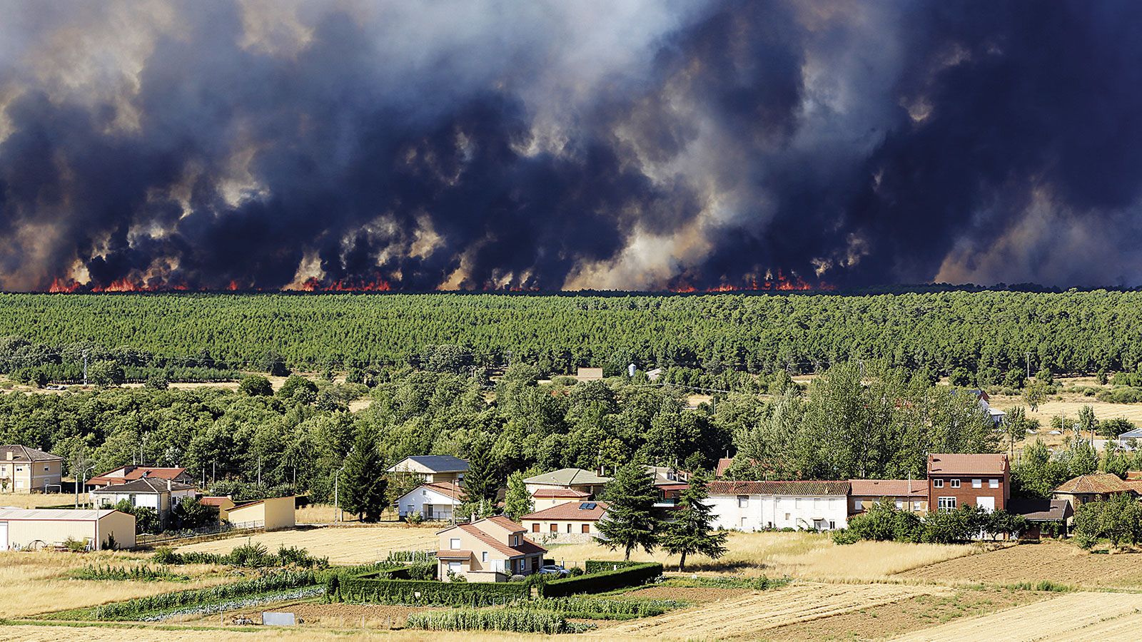Mercantilización y quiebra ecológica: la incapacidad humana para gestionar el horizonte natural. Gran incendio de Castrocontrigo en 2012. |  JAVIER FERNÁNDEZ LOZANO