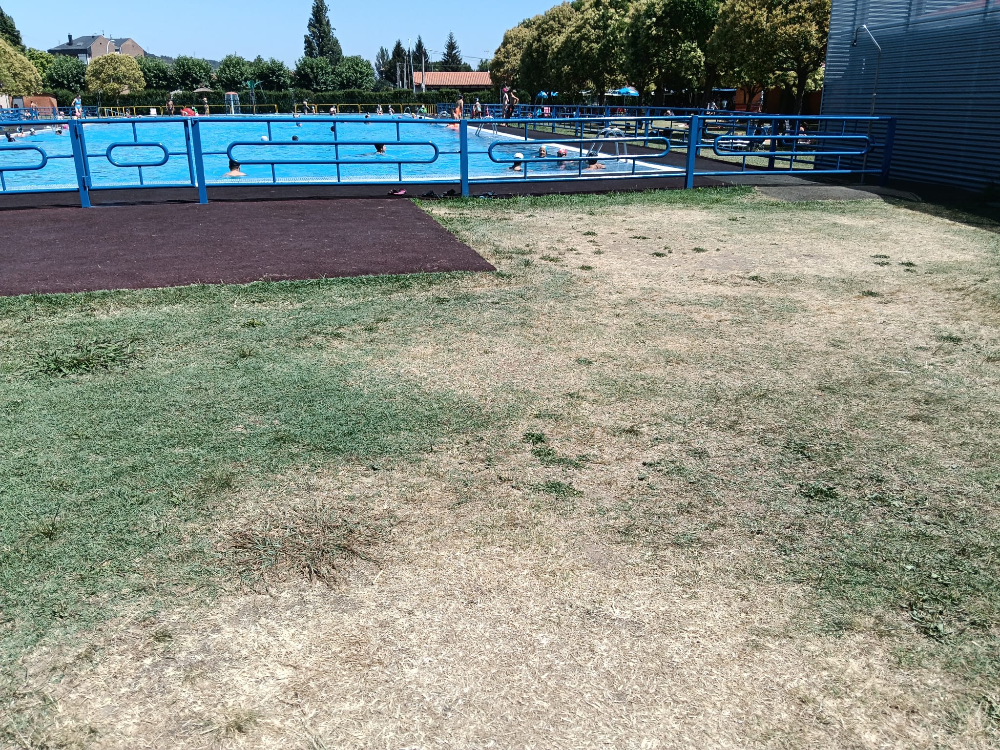 Estado actual de la piscina municipal de Benavides de Órbigo | L.N.C.