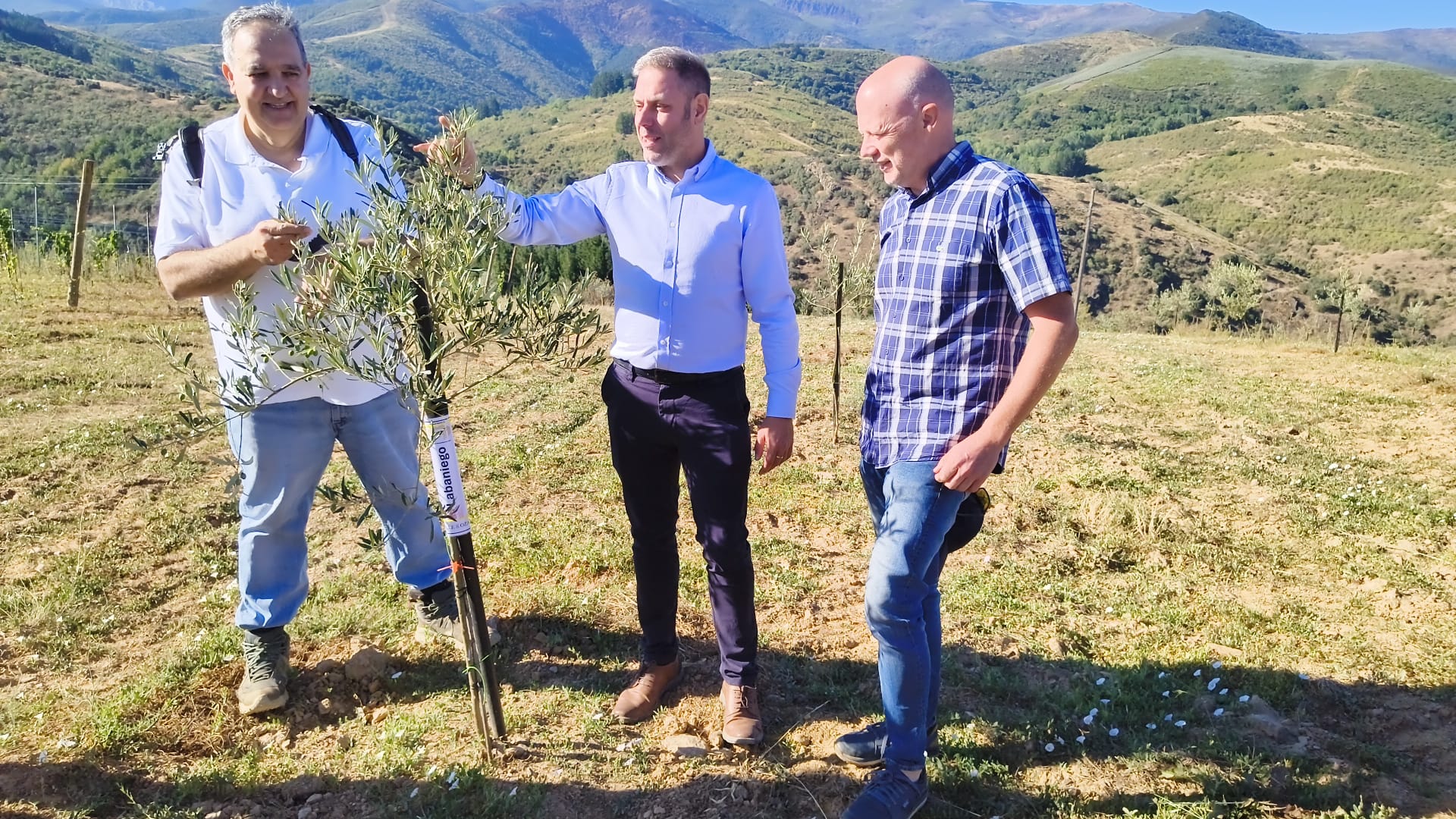 Merayo, Alonso y Linares en la plantación experimental de San Esteban. | MAR IGLESIAS