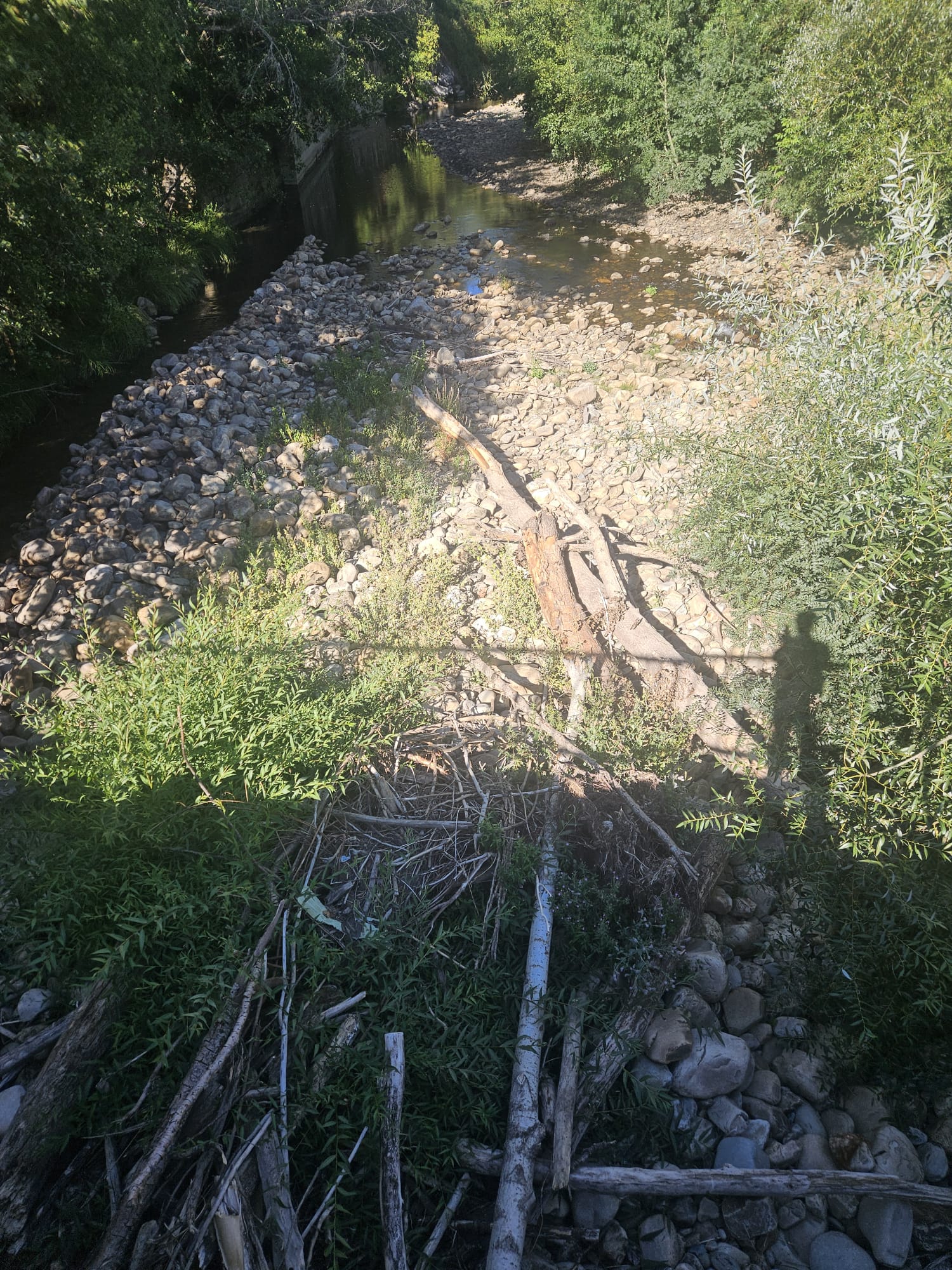 Estado del río a su paso por Albares.