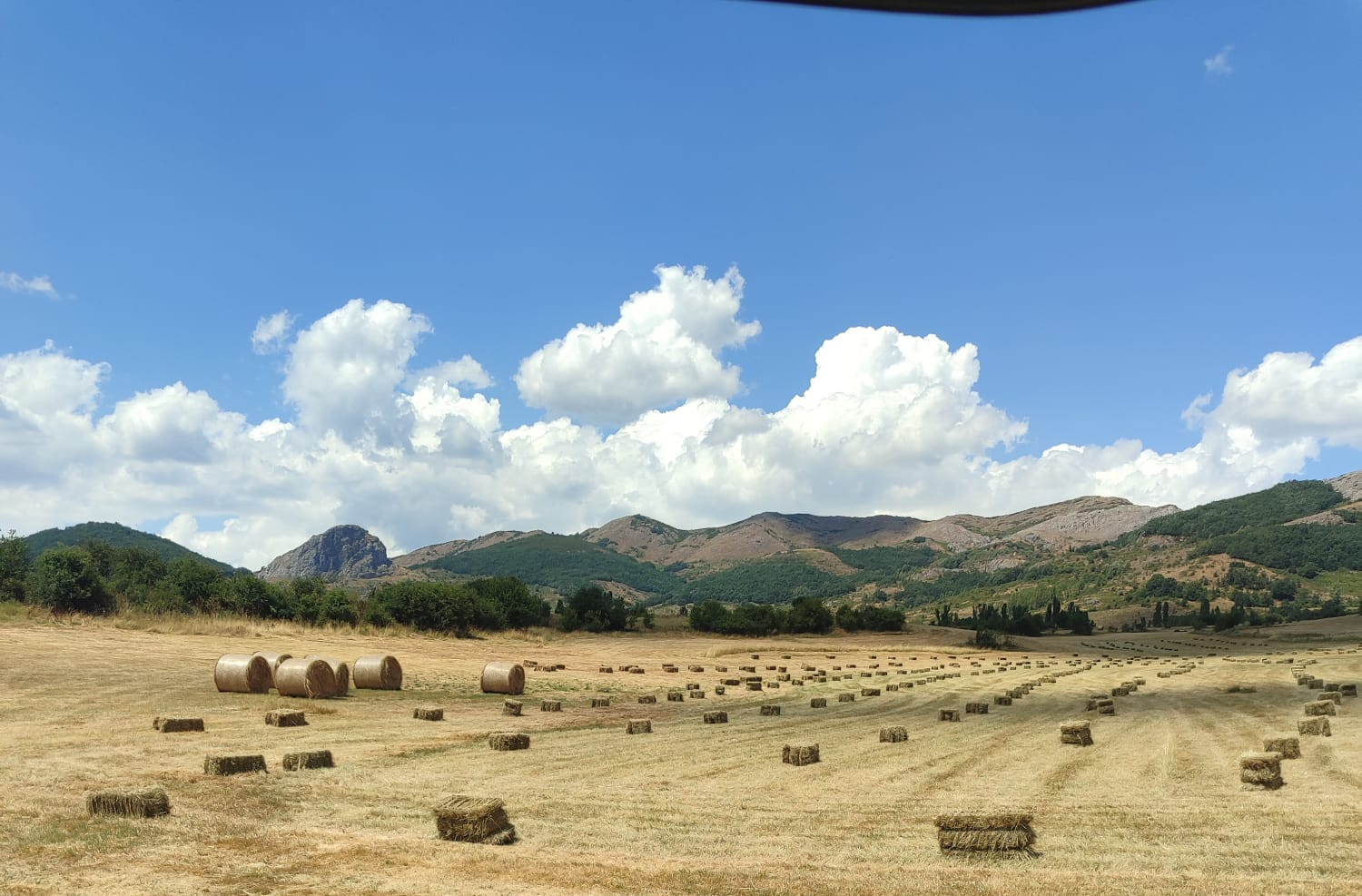 Pradera del Forniello acogerá la I Feria Ganadera Valle Reyero | L.N.C. Pradera del Forniello acogerá la I Feria Ganadera Valle Reyero | L.N.C.