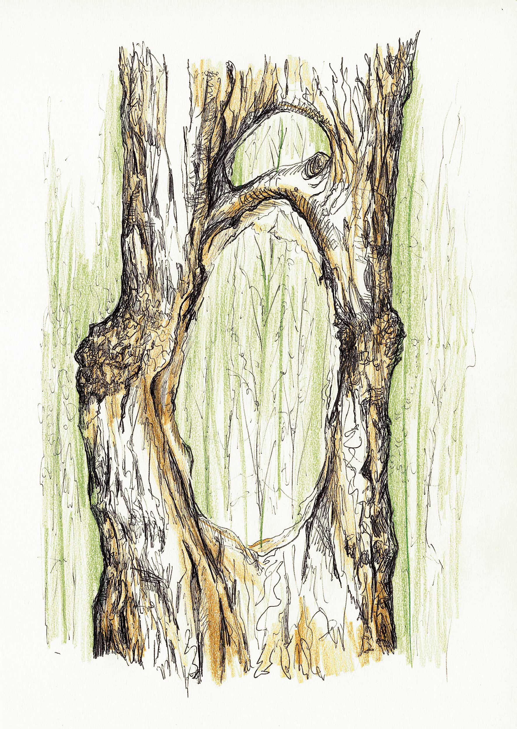 'Senderos de inspiración' 'Senderos de inspiración'