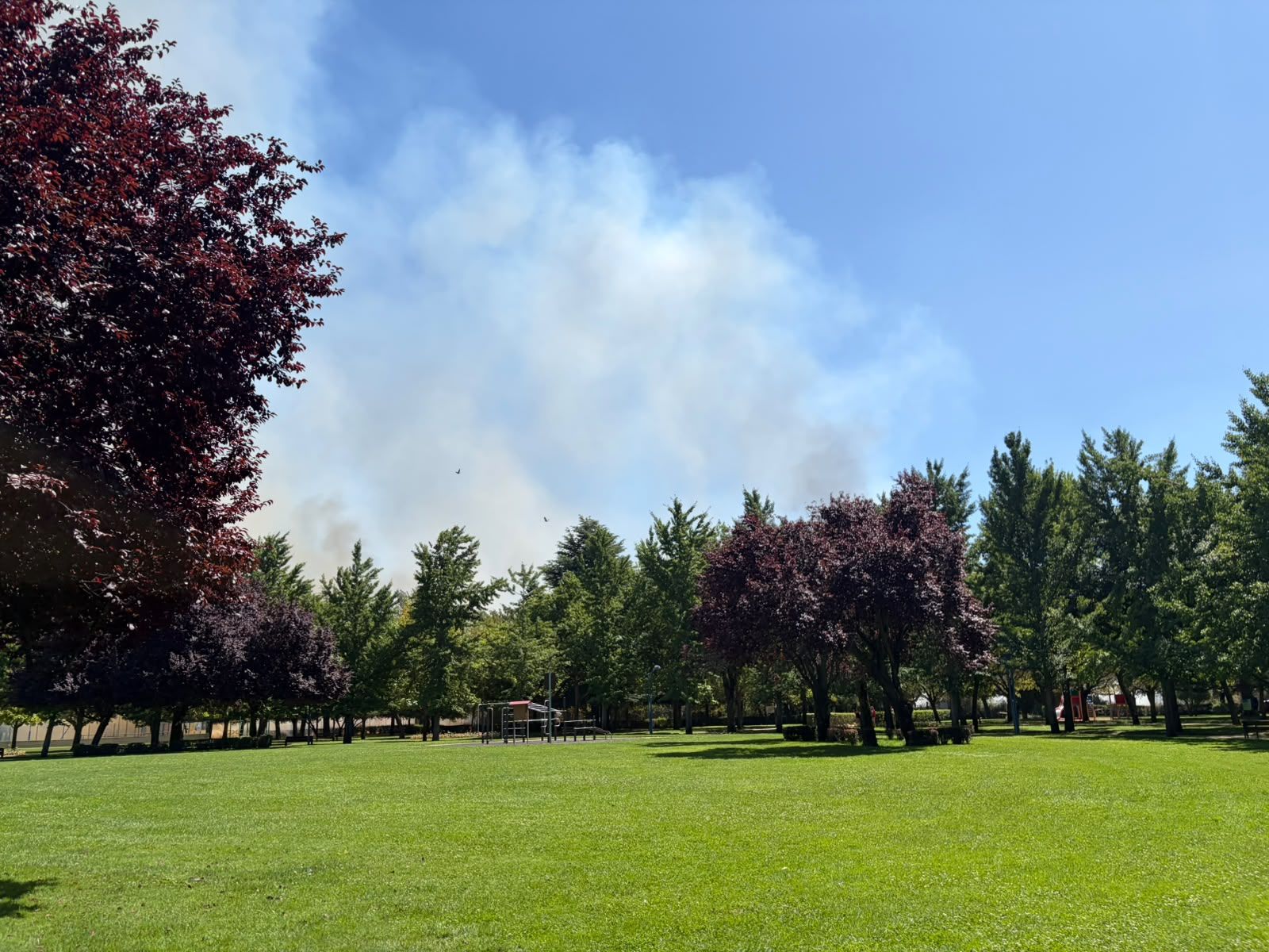 Humo del incendio de este domingo en La Candamia. | L.N.C.