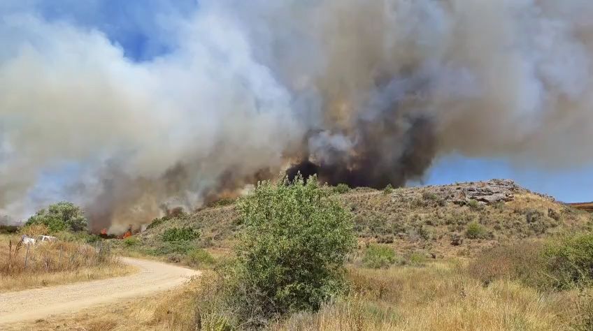 Declarado de nivel 1 un incendio forestal en Cifuentes de Rueda