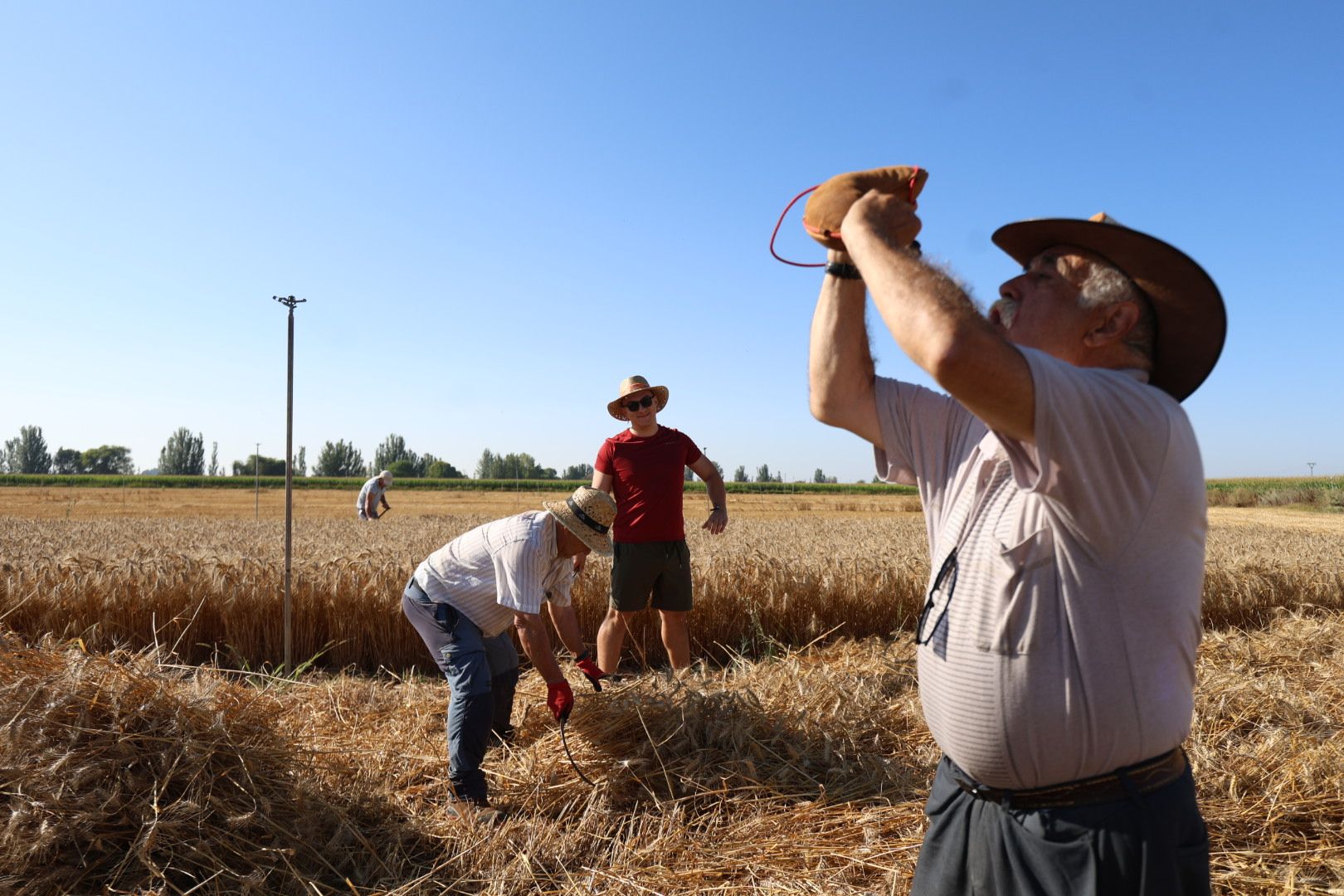 El taller de cosecha tradicional en Cabreros del Río, en imágenes 